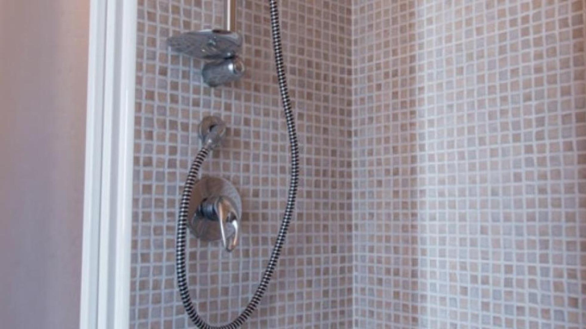 Shower with mosaic tiles and metal fixtures.